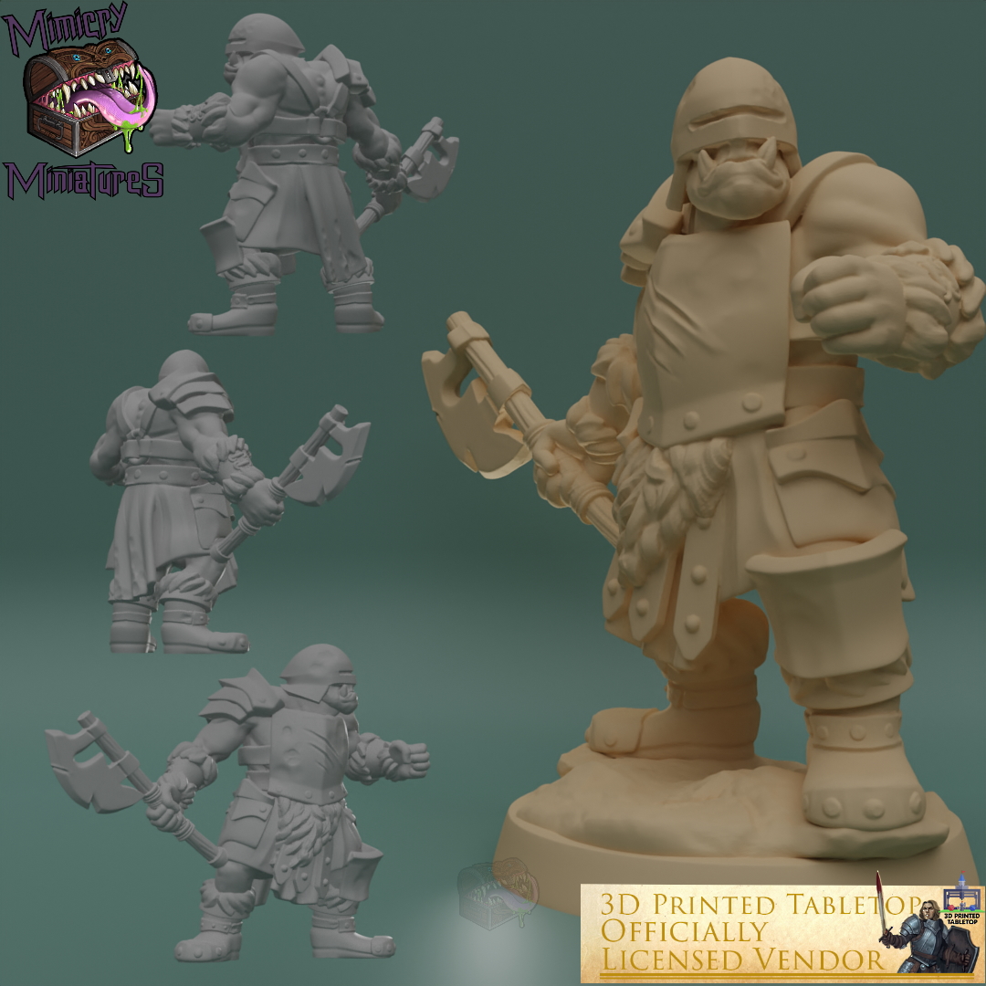 Orcs - The Lost Adventures from 3D Printed Tabletop image 6